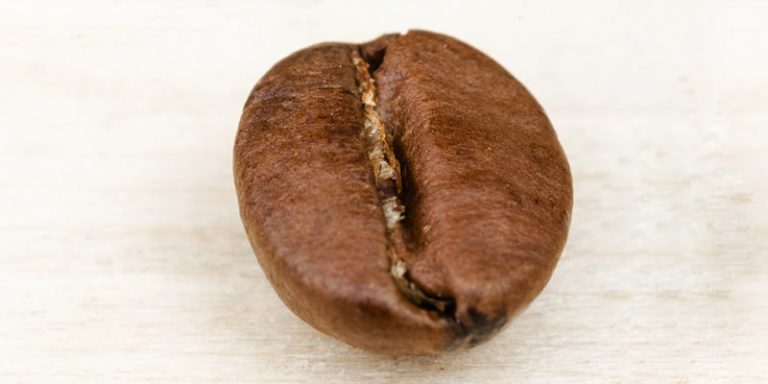 100 Arabica ne demektir? Neyi ifade eder? Kahvegibikahve